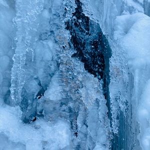 Meet your Posher, Rylee